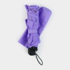 Зонт женский механический «Веточки», 8 спиц, d=95, сиреневый - Фото 7