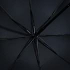 Зонт механический «Золотые перья», 8 спиц, d=95, цвет чёрный - фото 9246626