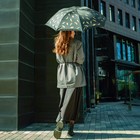 Зонт женский механический «Золотые перья», 8 спиц, d=95, чёрный - Фото 8