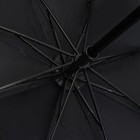 Зонт женский механический «Мечтай!», 8 спиц, d=95, чёрный - Фото 5
