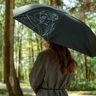 Зонт женский механический «Мечтай!", 8 спиц, d=95, цвет чёрный - фото 11348105