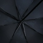 Зонт механический «Яркие бабочки», 8 спиц, d=95, цвет чёрный - фото 6979287