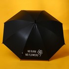 Зонт женский трость «NO RAIN - NO FLOWERS», 8 спиц, d = 90 см, цвет чёрный - Фото 2