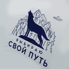 Палатка треккинговая Maclay «Свой путь», р. 200х150х105 см, 2-местная 9483946 - фото 16589621