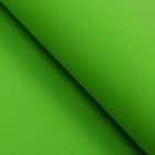 Фоамиран 0,8-1 мм светло-зеленый  60х70 см - Фото 2