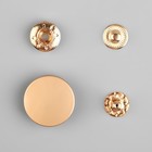 Кнопка установочная, Альфа (S-образная), d=20 мм, цвет золотой матовый - Фото 3