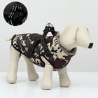 Куртка для собак со шлейкой, размер 2XL ( ДС 45 см, ОШ 40 см, ОГ 58 см), камуфляжная - фото 5641928