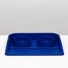 Миски с лотком "Феликс" 0,3 л, 41 x 30 x 6 см, микс цветов - Фото 10