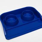 Миски с лотком "Феликс" 0,3 л, 41 x 30 x 6 см, микс цветов - Фото 4