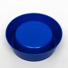 Миски с лотком "Феликс" 0,3 л, 41 x 30 x 6 см, микс цветов - Фото 9