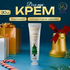 Крем для рук новогодний «Бергамот и сандаловое дерево», 30 мл - Фото 1