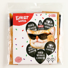 Набор воздушных шаров «С Днём Рождения», кот, латекс, фольга, 6 шт. - фото 23757237