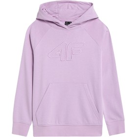 

Толстовка женская 4F WOMEN'S SWEATSHIRT, размер 46 RUS