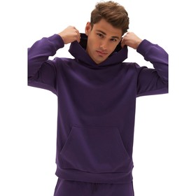 

Худи мужское Bilcee Men's Sweatshirt, размер 54-56 RUS