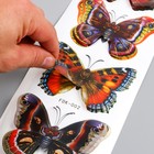 Наклейка пластик "Бабочки" МИКС 39,5х12 см - Фото 8