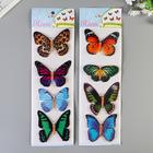 Наклейка пластик "Бабочки" МИКС 39,5х12 см - Фото 3