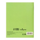 Тетрадь для записи слов А6, 24 листа "Зелёная", обложка мелованный картон, блок офсет 65г/м2 - Фото 7