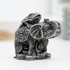 Фигура "Слон на деньгах" под камень, 7,5х4,5х6см - фото 7536931