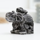 Фигура "Слон на деньгах" под камень, 7,5х4,5х6см - фото 7536932