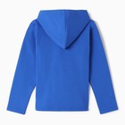 Толстовка для мальчиков, цвет синий, рост 104 см - фото 24292038