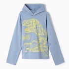 Толстовка для мальчиков, цвет серый, рост 146 см - фото 22621875