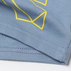 Толстовка для мальчиков, цвет серый, рост 146 см - фото 22621877