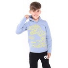 Толстовка для мальчиков, цвет серый, рост 158 см - фото 22621887