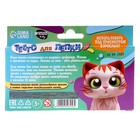 Тесто для лепки пастельное 6 цв, 30 гр - фото 24687616