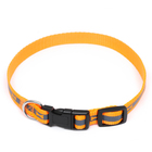 Ошейник "Кость", ОШ до 37 см, ширина 1,5 см, оранжевый - фото 24249126