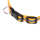 Ошейник "Кость", ОШ до 37 см, ширина 1,5 см, оранжевый - фото 24249127