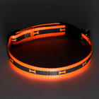 Ошейник "Кость", ОШ до 37 см, ширина 1,5 см, оранжевый - фото 24249132