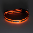 Ошейник "Кость", ОШ до 37 см, ширина 1,5 см, оранжевый - фото 24249133