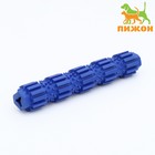 Игрушка жевательная для собак "Палка с шипами", TPR, 18 см, синяя - фото 6980629