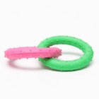 Игрушка жевательная суперпрочная "Два кольца", зелёная/розовая - фото 6980635