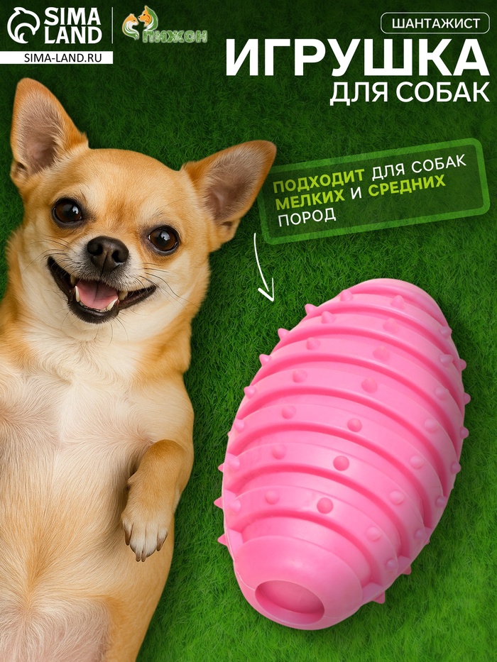 Жевательная игрушка для собак «Шантажист», 10 см, TPR, розовая