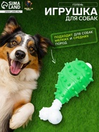 Игрушка для собак «Голень», 12 см, двухслойная, твёрдый и мягкий пластик, зелёная - Фото 1