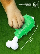 Игрушка для собак «Голень», 12 см, двухслойная, твёрдый и мягкий пластик, зелёная - Фото 2