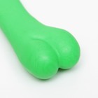 Игрушка жевательная "Косточка классическая", TPR, 12,3 см, зелёная - фото 6980682
