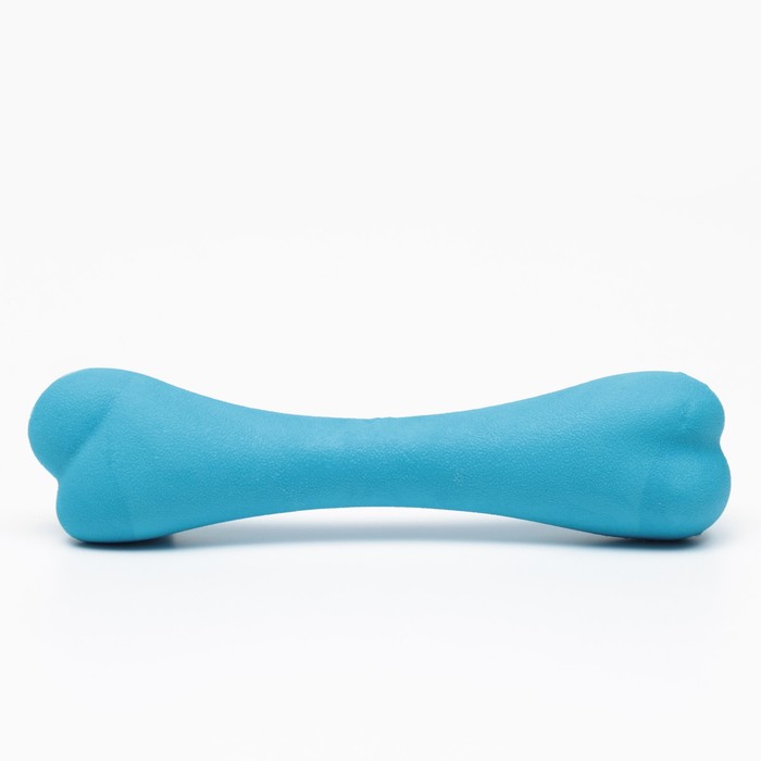 Игрушка жевательная "Немалая кость", TPR, 16 см, синяя