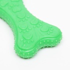 Жевательная игрушка для собак «Собачье удовольствие», 10.5 см, суперпрочная, зелёная - Фото 6