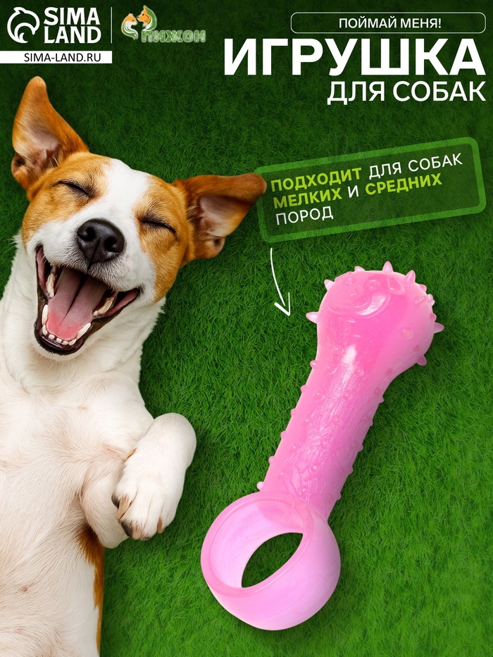 Игрушка-дразнилка для собак «Поймай меня!»,9.5 см, прозрачная, PP, розовая - Фото 1