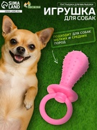 Жевательная игрушка для собак «Пустышка для малышки», 14.5 см, TPR, розовая - Фото 1