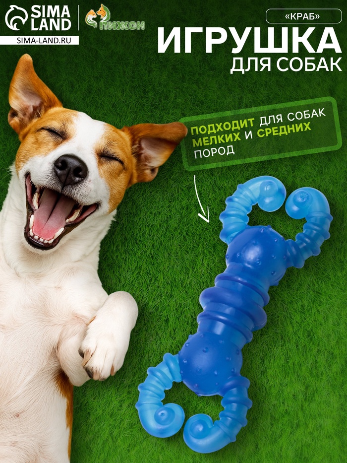 Жевательная игрушка для собак «Краб», прозрачная, 12 см, TPR, голубая - Фото 1