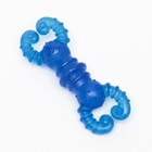 Игрушка жевательная "Краб", прозрачная, TPR, 12 см, голубая - Фото 3