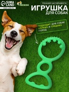 Жевательная игрушка для собак «Тренажер настойчивости», 18 см, TPR, зелёная - Фото 1