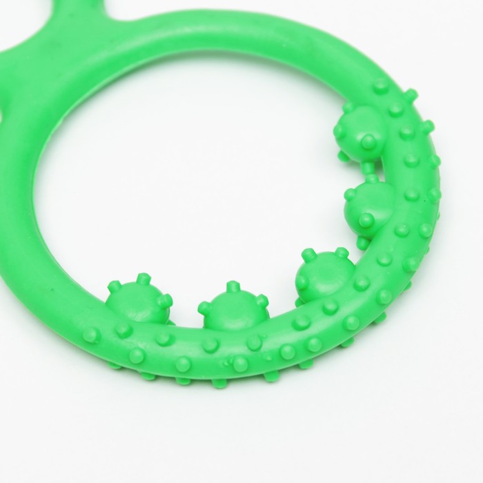 Игрушка жевательная "Тренажер настойчивости", TPR, 18 см, зелёная