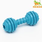 Жевательная игрушка для собак «Чемпион», 12.5 см, TPR, голубая - Фото 1