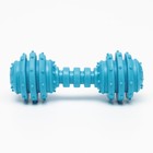 Жевательная игрушка для собак «Чемпион», 12.5 см, TPR, голубая - Фото 2