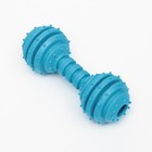 Жевательная игрушка для собак «Чемпион», 12.5 см, TPR, голубая - Фото 3