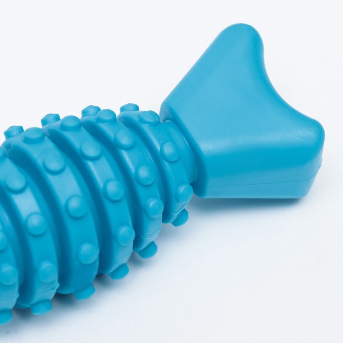 Игрушка жевательная "Конфетка", TPR, 12 см, голубая